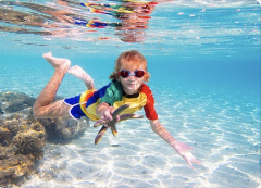 Sand Bank Snorkel