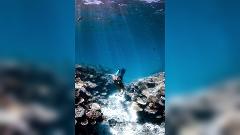 Daily Reef Snorkel 