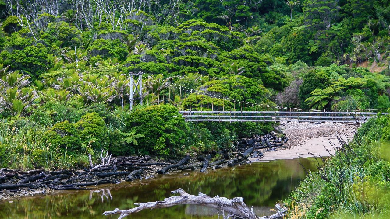 Heaphy Track