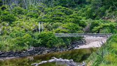 Heaphy Track