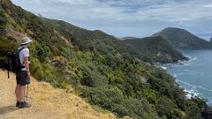 Coromandel Explorer