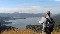 Queen Charlotte Track 5 Day Hike