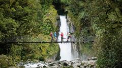 Best Of Routeburn, Kepler And Milford Track