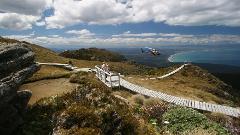 Hump Ridge Track 
