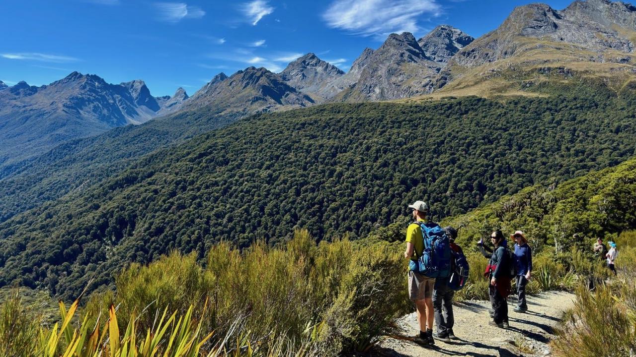 South Island Grand Hikes
