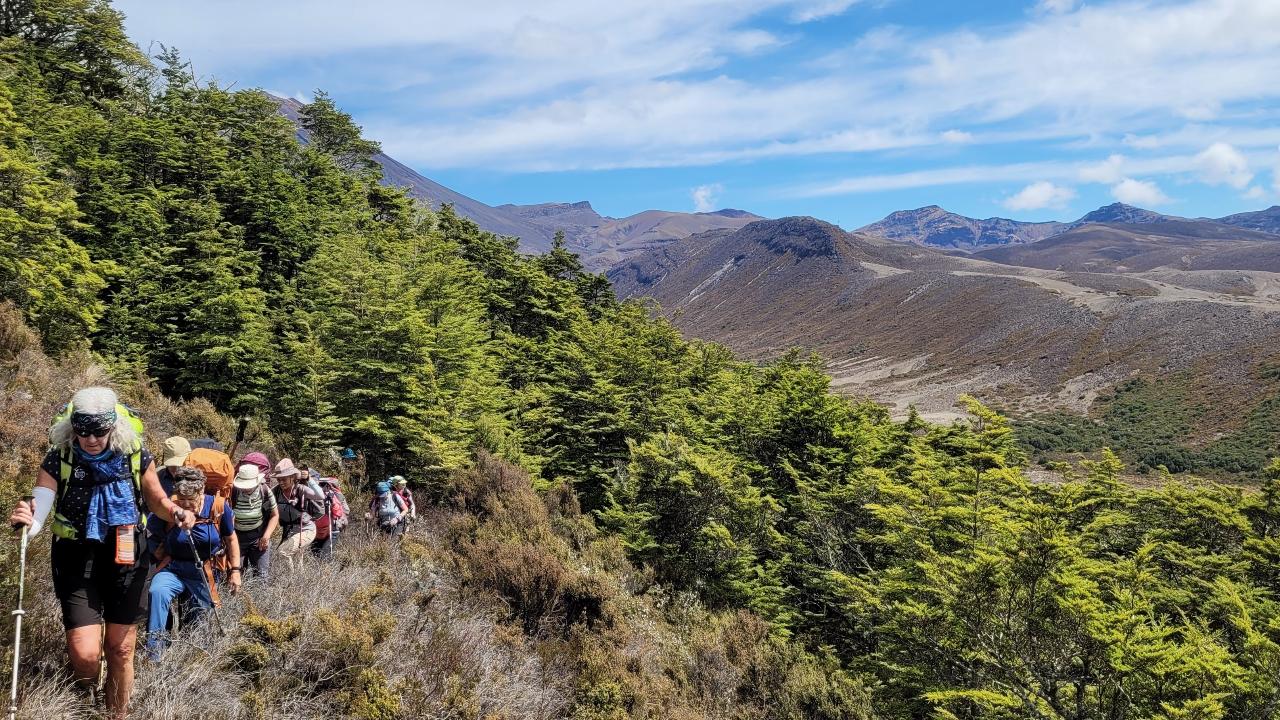 Ultimate North Island