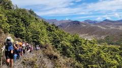 Ultimate North Island