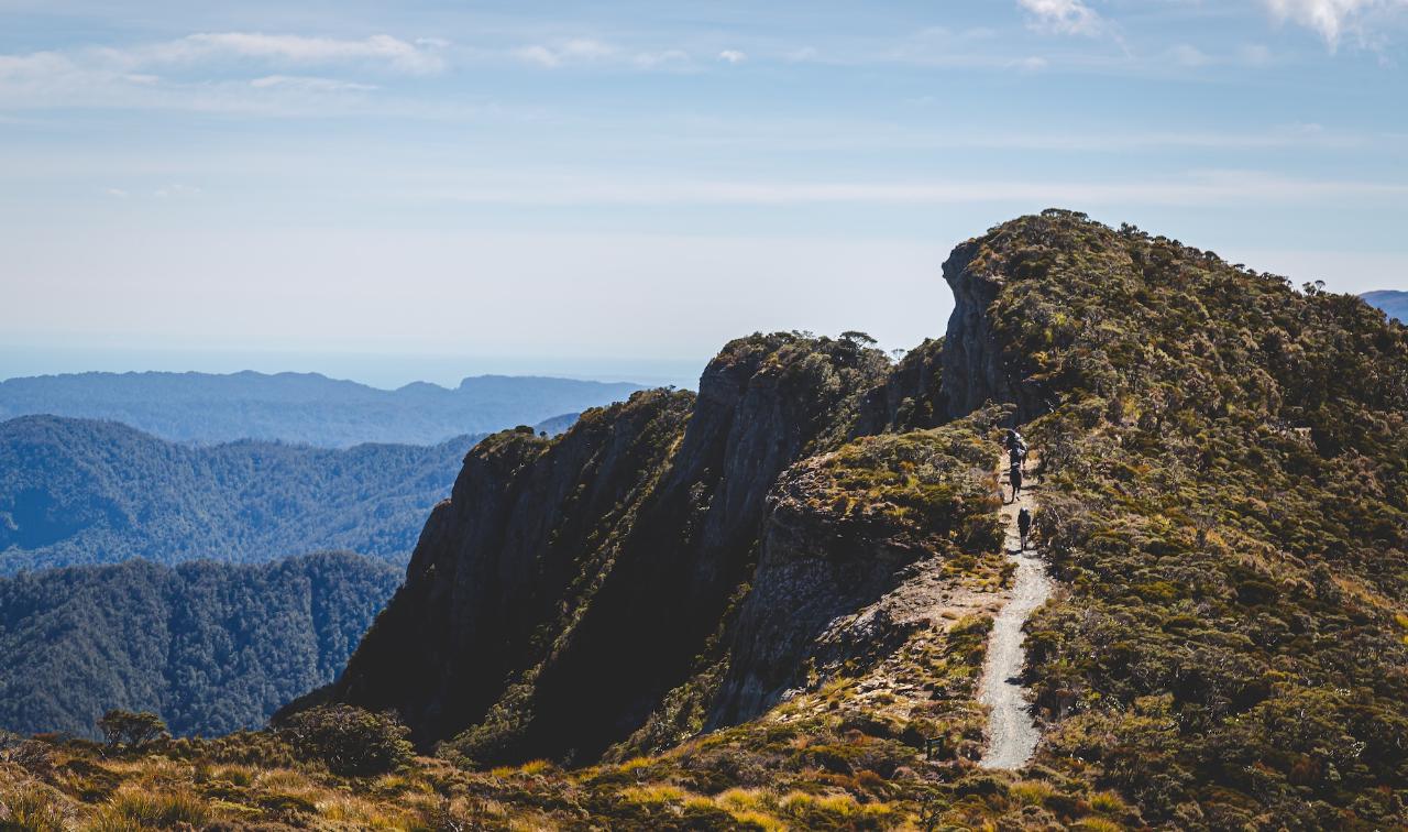 Paparoa Track
