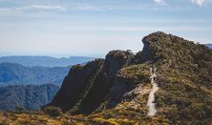 Paparoa Track