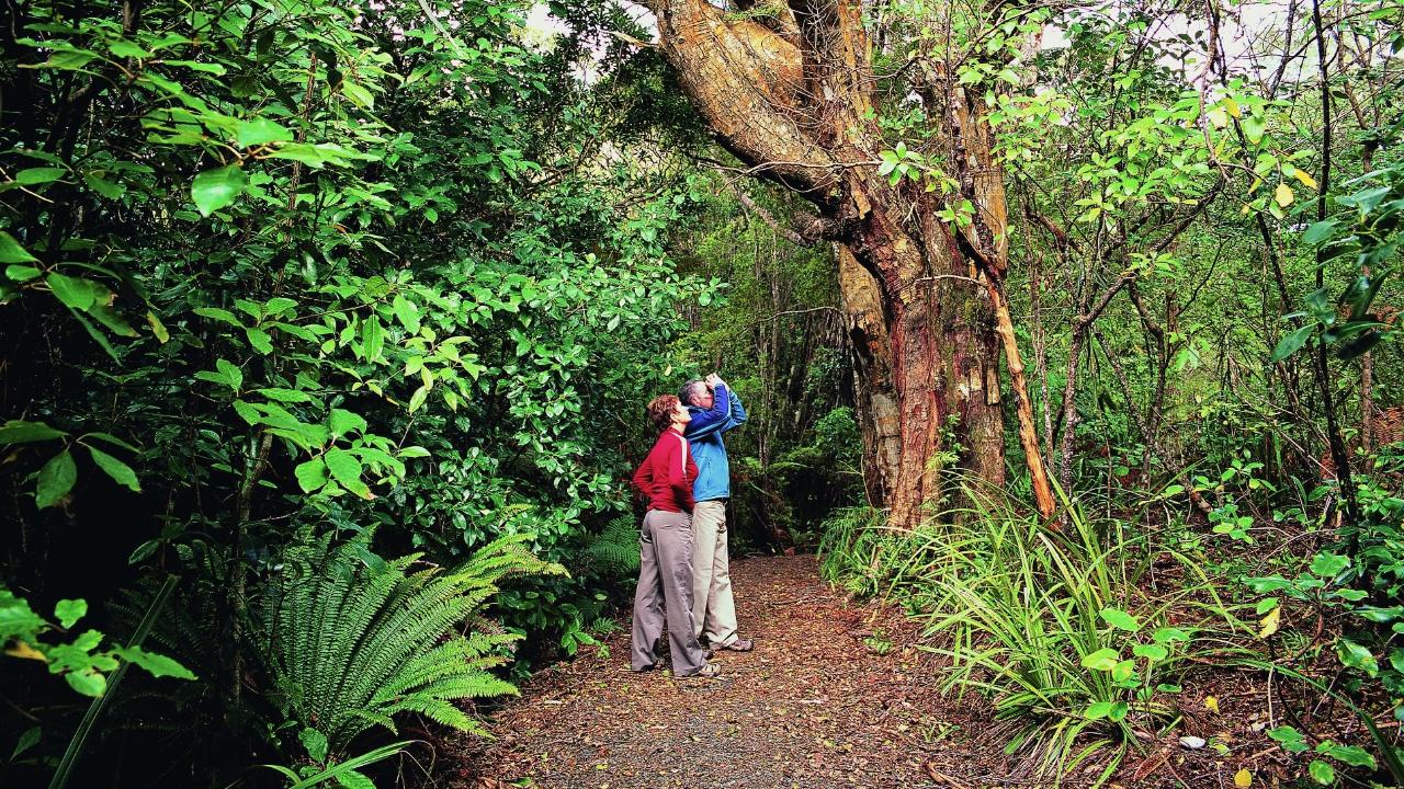 Stewart Island Track 