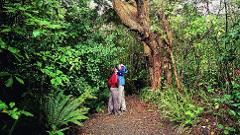 Stewart Island Track 
