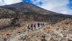 North Island Adventure