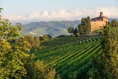 Private Barolo Wine Tour from Milan | Boutique Family Winery & Door-to-Door