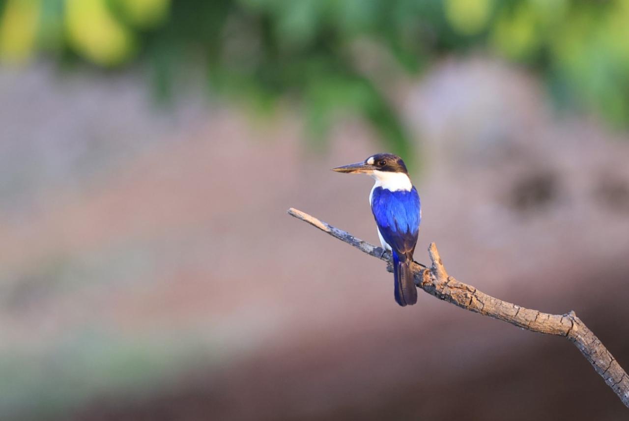 Darwin: Fogg Dam Wetlands Sunset & Humpty Doo Hotel Tour