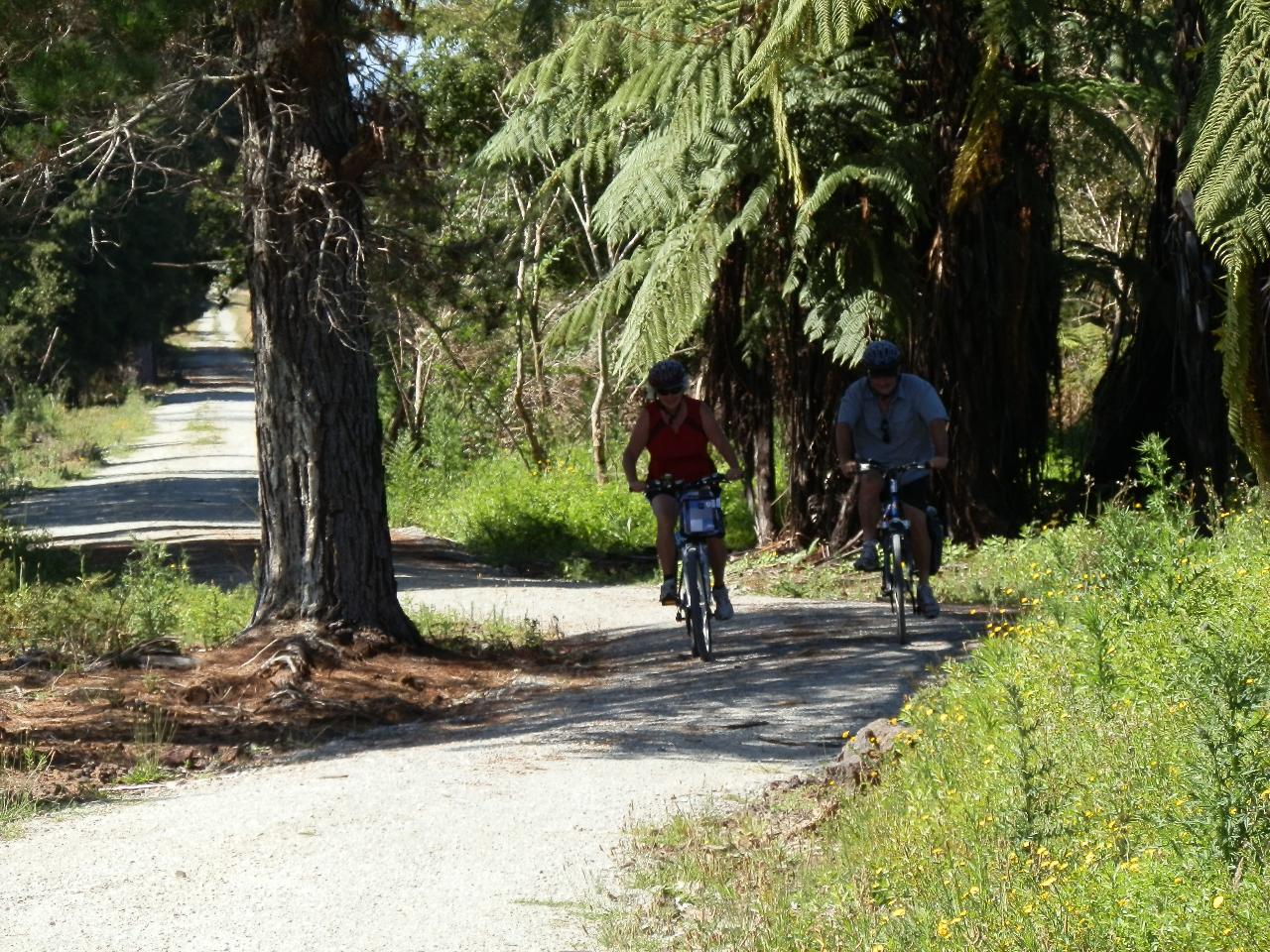 Trail & Tunnel Taster  with E bike