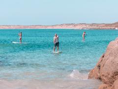 Stand-up Paddle Board Hire