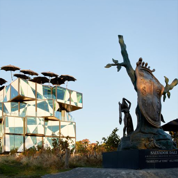 d'Arenberg Overnight Sailing Escape & Experience