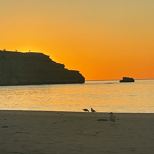 Blanch Point & Maslins Beach (nude beach) Overnight Escape