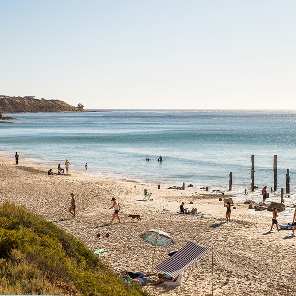 d'Arenberg Overnight Sailing Escape & Experience