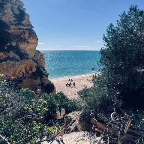 WhatsApp_Image_2025_10_22_at_11.41.06__5_