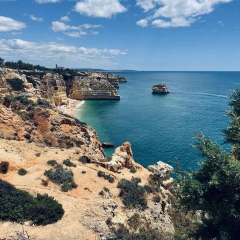 WhatsApp_Image_2025_10_22_at_11.41.06__6_