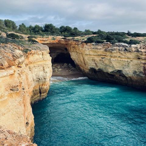 WhatsApp_Image_2025_10_22_at_11.41.07__2_