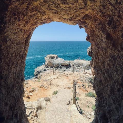 WhatsApp_Image_2025_10_22_at_11.41.07__6_