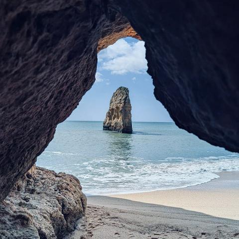 WhatsApp_Image_2025_10_22_at_11.41.07__8_