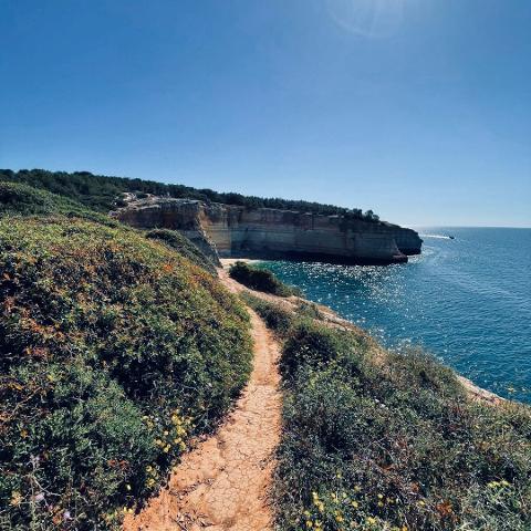 WhatsApp_Image_2025_10_22_at_12.17.51__2_