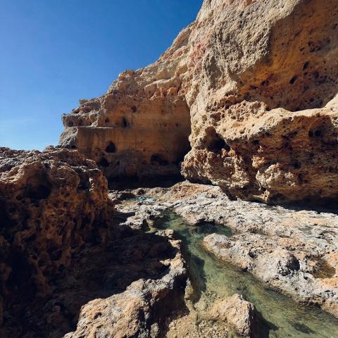 WhatsApp_Image_2025_10_22_at_12.17.51