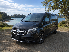 Executive Minivan: 8-Hour Private Guided Tour