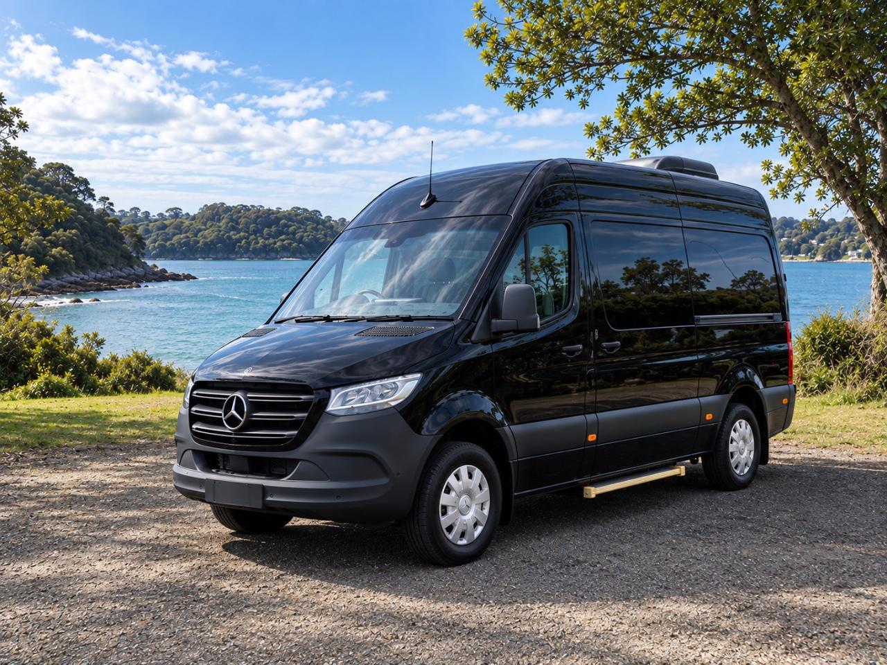 Executive Van: 6-Hour Private Guided Tour