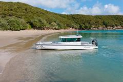 Tere Tere: 4-Hour Charter
