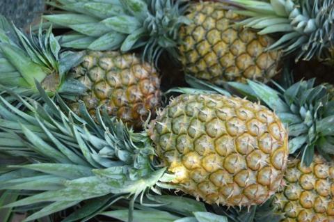 A Taste of the Pacific