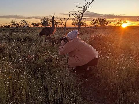 Wooleen_Station___Western_Australia___Bird_Photography_Workshops___Emu