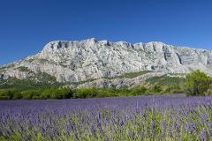 Discover Sainte Victoire mountain and Provence through an open-air show