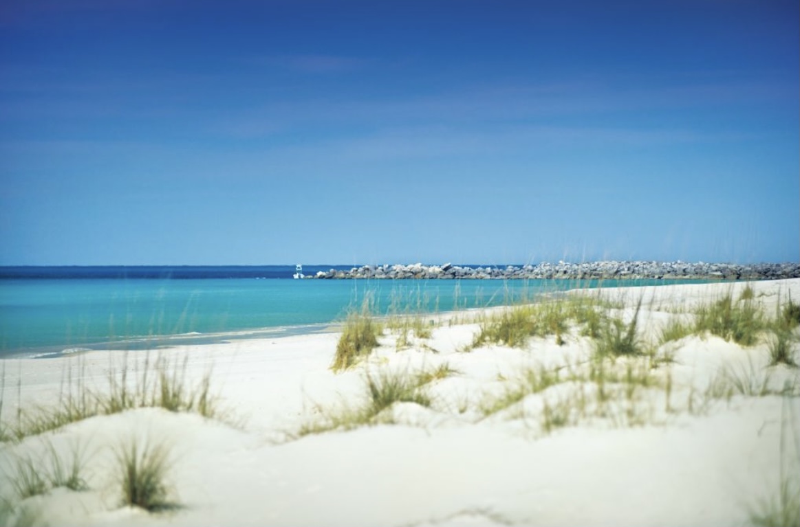 3 Hour Shell Island Adventure Snorkeling & Dolphin Watching` Tiketi