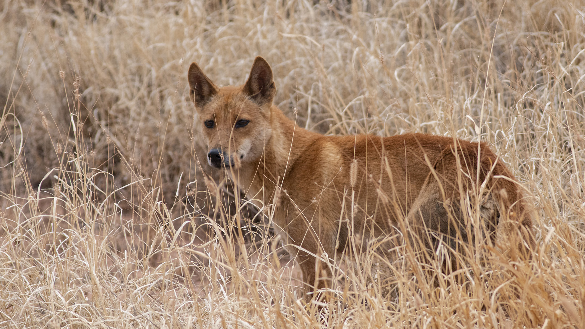 Newhaven Sanctuary Tour