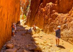 Larapinta Trail Transfer: Standley Chasm