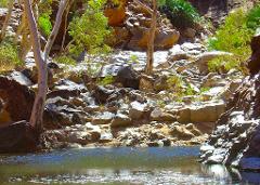 Larapinta Trail Transfer: Serpentine Gorge