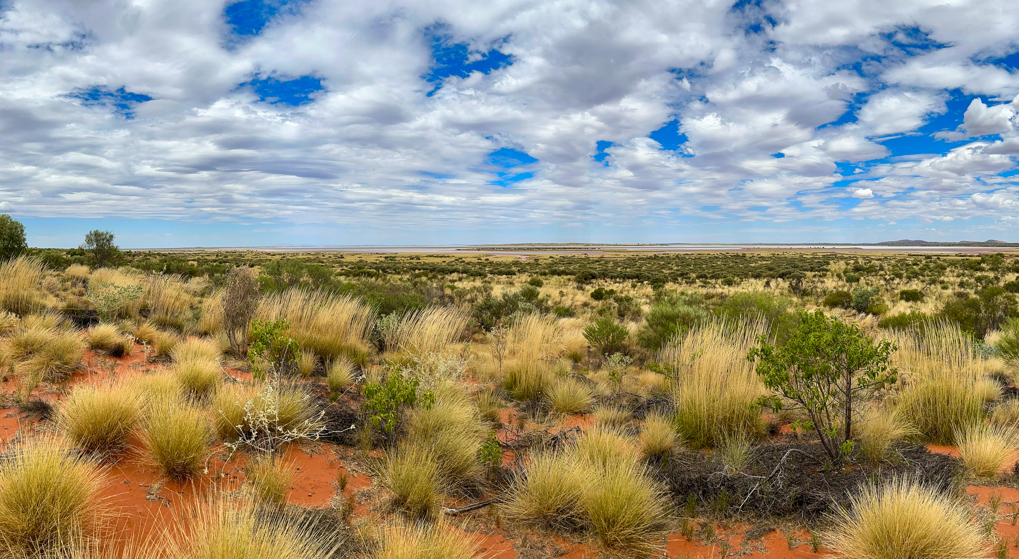 Newhaven Sanctuary Tour