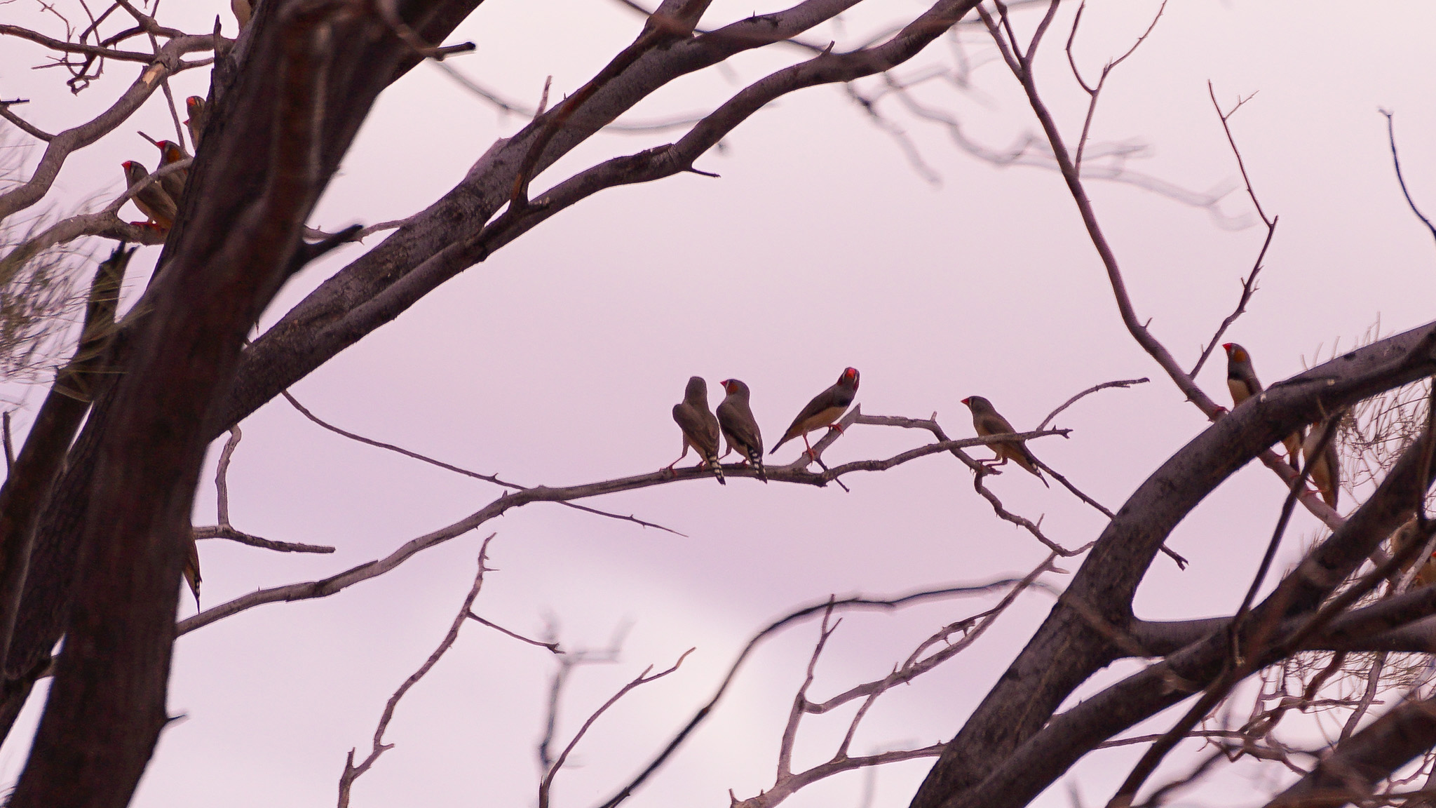 Newhaven Sanctuary Tour