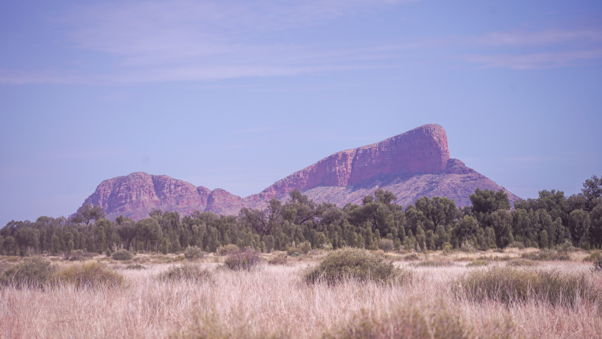 Newhaven Sanctuary Tour