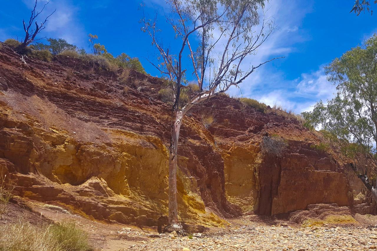 Larapinta Trail Transfer: Ochre Pits