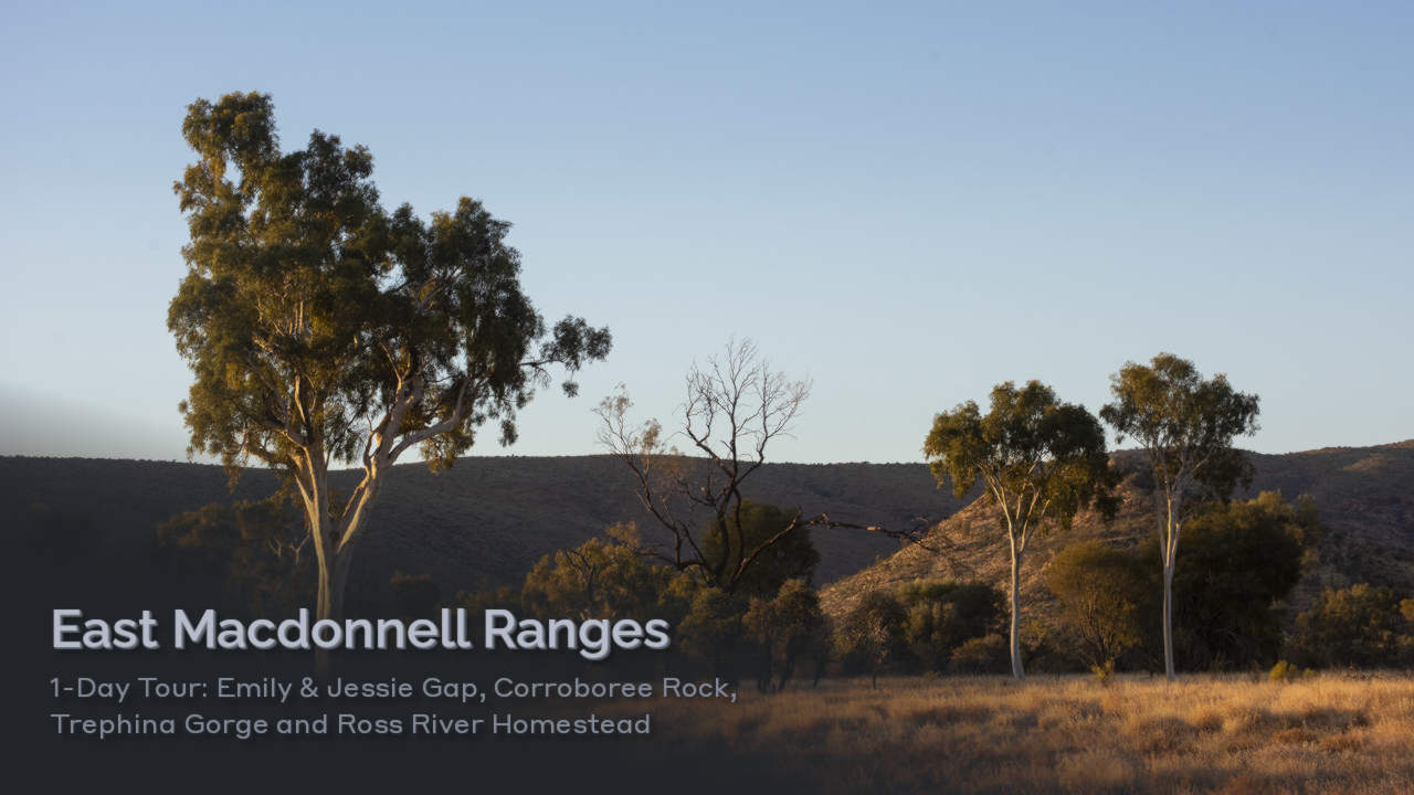 East MacDonnell Ranges Tour (1-Day)