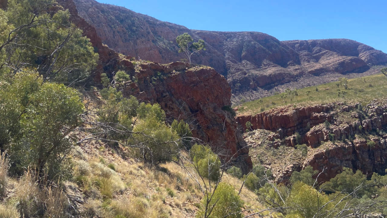 Larapinta Trail Transfer: Ormiston Gorge