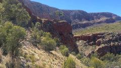 Larapinta Trail Transfer: Ormiston Gorge