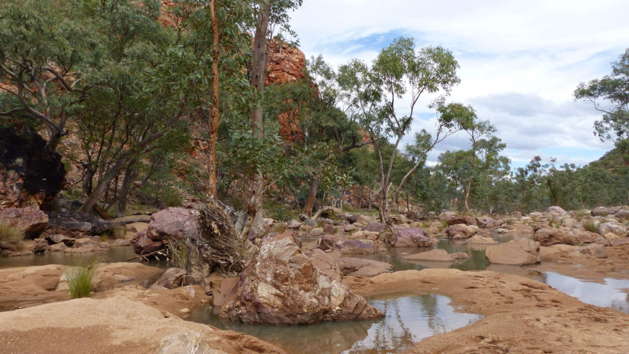 Larapinta Trail Transfer: Redbank Gorge