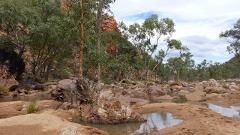 Larapinta Trail Transfer: Redbank Gorge