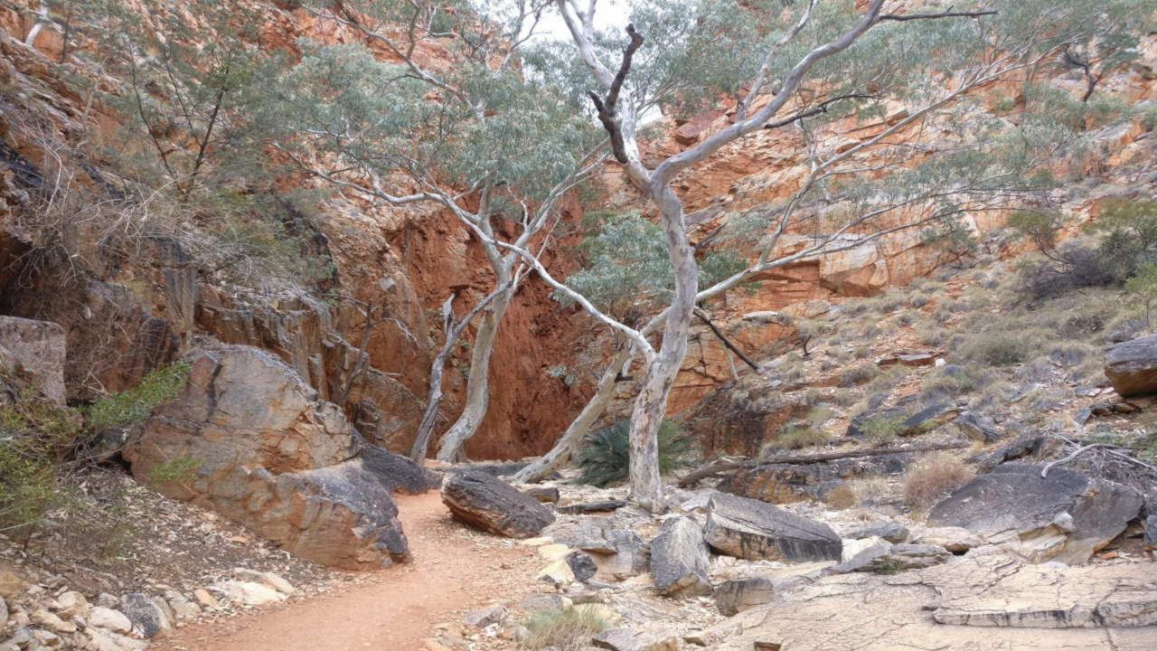 Larapinta Trail Transfer: Standley Chasm